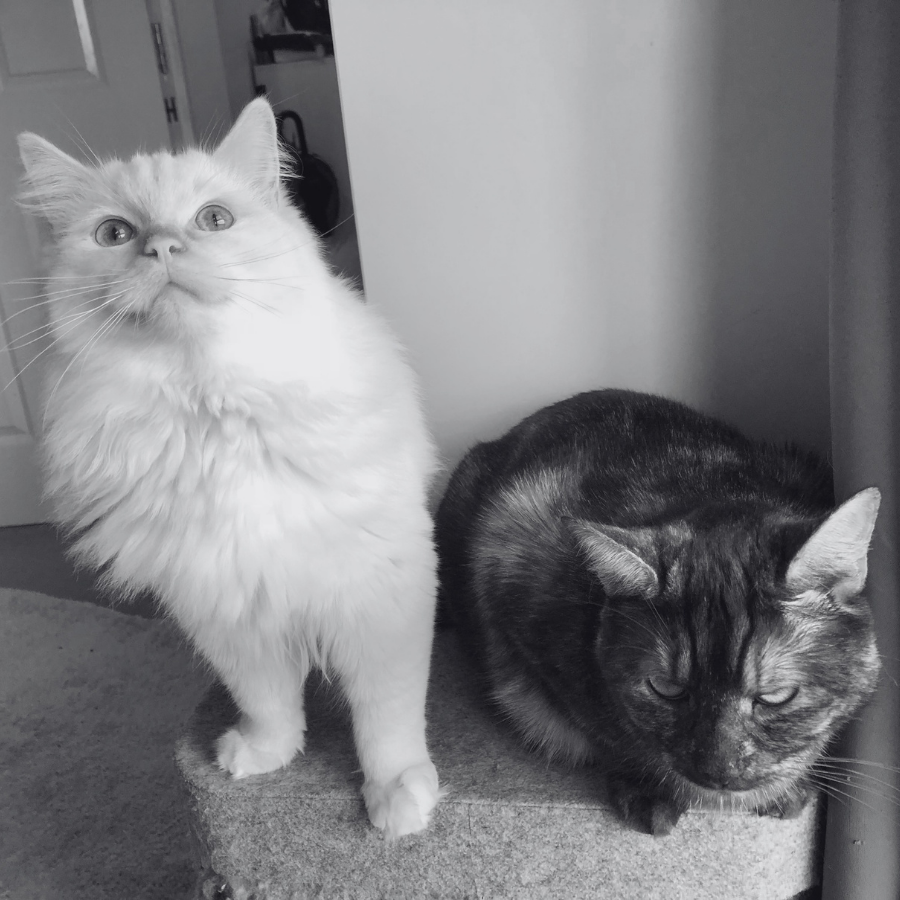 Rory and Jasper