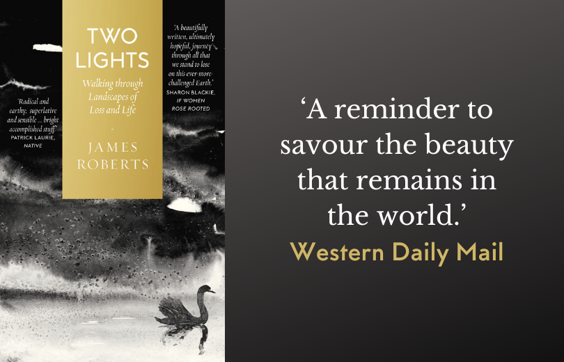 ‘A beautiful, vivid work’ WESTERN DAILY MAIL